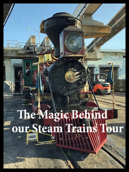 Walt Disney World Railroad Magic Kingdom Train Souvenir Tour Exclusive Pin