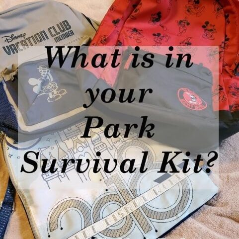 Preparing your Park Survival Kit