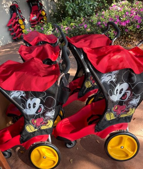What to Know When You Have a Stroller at Walt Disney World