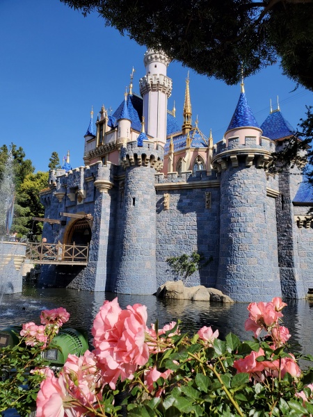 Disneyland Castle