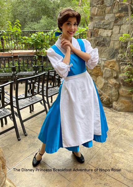 The Disney Princess Breakfast Adventure!