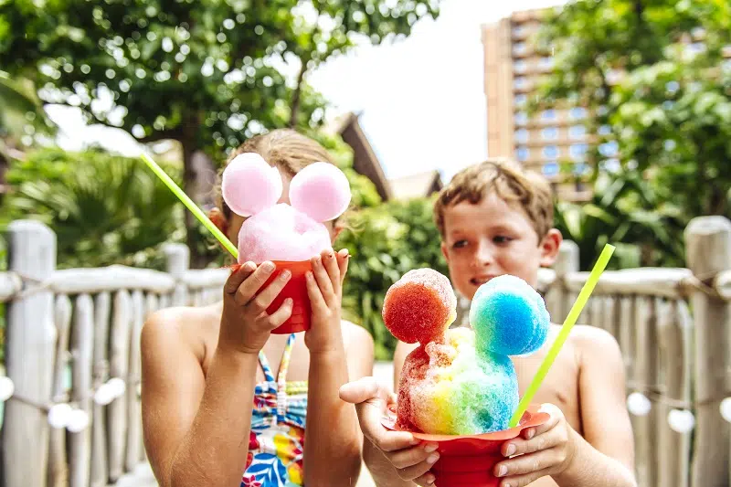 Aulani Papalua Shave Ice