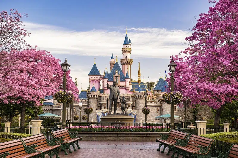 Disneyland Park