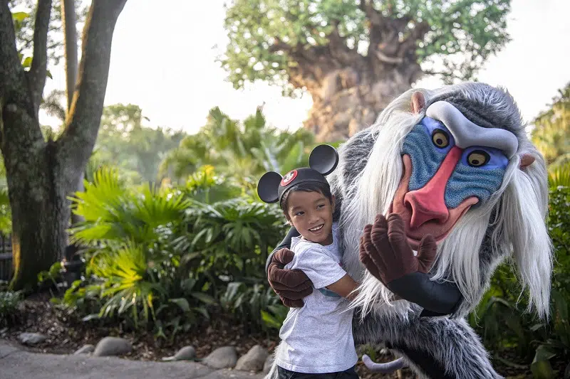 WDW - DAK - Rafiki - Guest