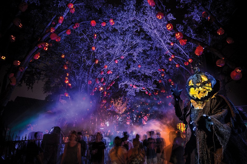 2024 Halloween Horror Nights Scare