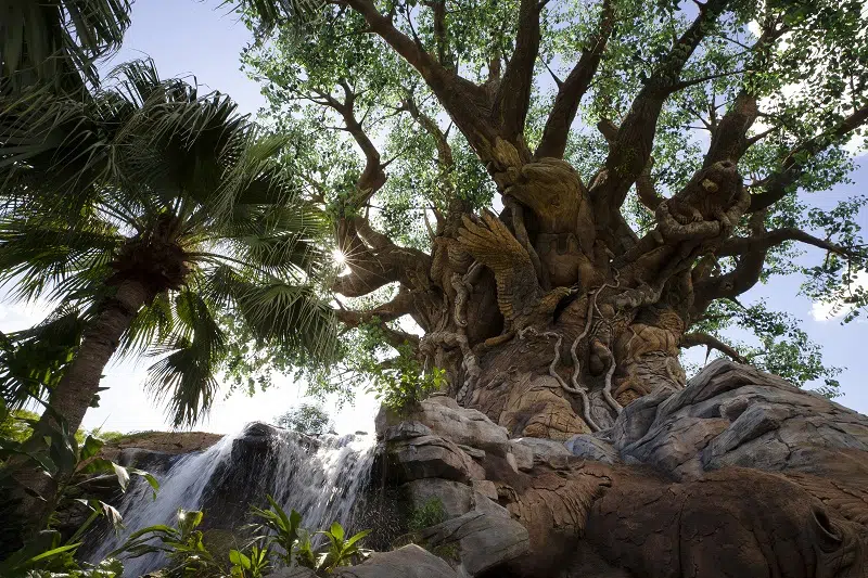 Disney’s Animal Kingdom Park Tree of Life at Walt Disney World Resort