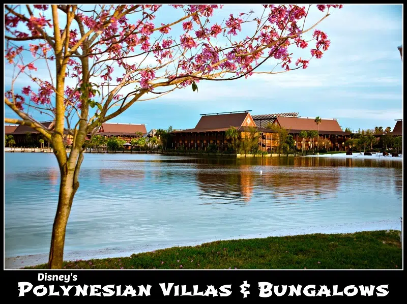 Disney’s Polynesian Villas and Bungalows